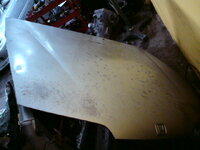 DSC02450.JPG