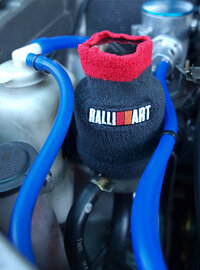 RalliArt sock.jpg