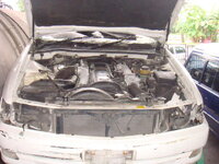 DSC04456.jpg