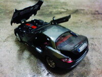 DSC01242.jpg