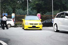 stream yellow02.JPG