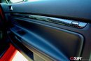 osir mk5 door carbon panel.jpg