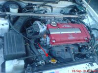 DSC00062.JPG