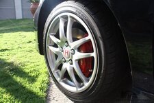 IMG_5721.jpg