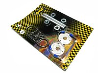 omp pin.jpg