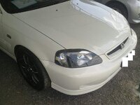 12102010684.jpg