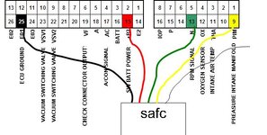 5butt safc l2.JPG