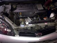 IMG-20101125-00658.jpg