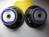 P1010587_resize.JPG