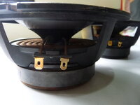 P1010597_resize.JPG