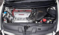 Sonia_with_Falken_IMG_8455.jpg