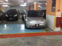 IMG00370-20110110-1009.jpg