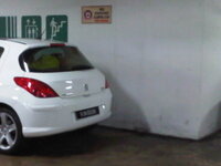 IMG00381-20110122-1210.jpg
