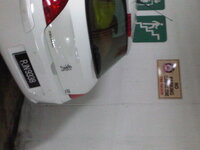 IMG00382-20110122-1211.jpg