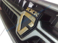 AE111 gold logo grille t.jpg