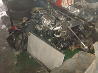 DSC01484.jpg