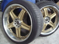 DSC05545.jpg