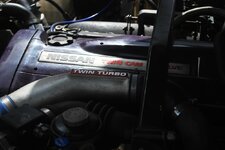 DSC_1264.JPG