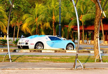 veyron in jb.jpg