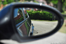 DSC_5534 - 800x531.jpg