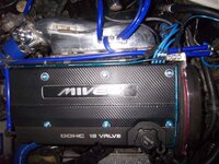 100_2330.jpg