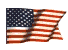flagwaving.gif
