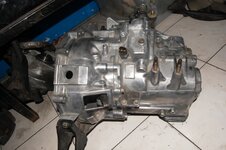 DSC_1295.JPG