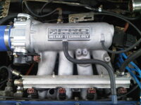 IMG01609-20110514-1707.jpg