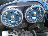 IMG01614-20110514-1708.jpg