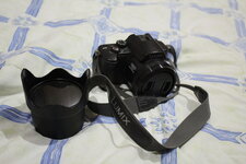 IMG_0097dpan.jpg