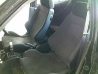 Picture 955.jpg