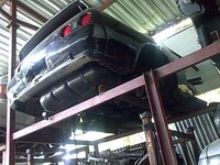 rear cut.jpg