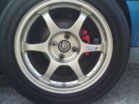 DSC03787.JPG