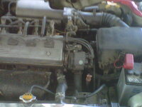 IMG00218-20110727-1533.jpg