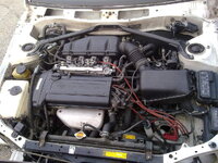 110820115488.jpg