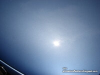 DSC00181.JPG