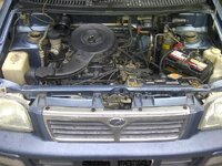 KANCIL02.JPG