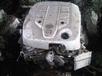 IMG00424-20101019-1226.jpg