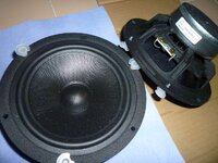 scanspeak-1.jpg