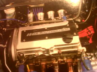 IMG00223-20110514-1907.jpg