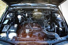 IMG_1836.jpg