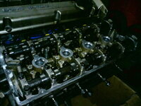 DSC00277.jpg