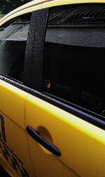 IMAG0505.jpg