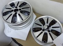 P1000031.jpg