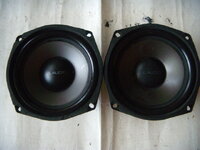 DSCN6137.JPG