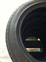 Falken 2.jpg
