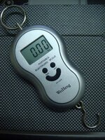 Digital Scale 2.jpg