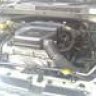 Car-Crazy