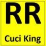 RR_Clean_Expert