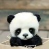 Jasmine_Xin
